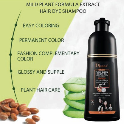 SHAMPOO CHAO CANAS (Disaar)