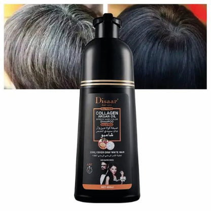 SHAMPOO CHAO CANAS (Disaar)