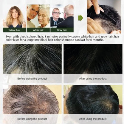 SHAMPOO CHAO CANAS (Disaar)